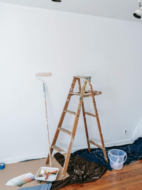 pexels-blue-bird-7217930